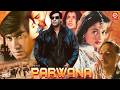 Parwana Full Movie Ajay Devgn Amisha Patel Kadar Khan Bollywood 90s Full Action Hindi Movie