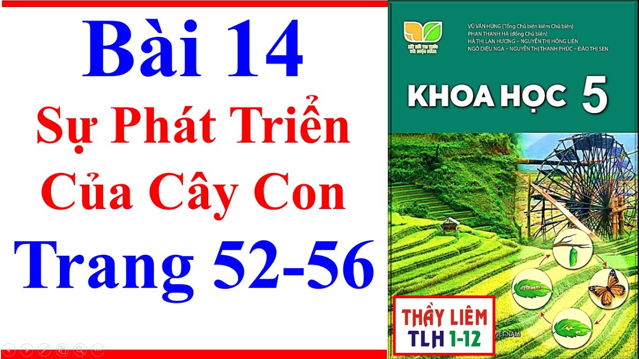 Khoa Học Lớp 5 Bài 14 | Sự Phát Triển Của Cây Con | Trang 52 – 56 | Kết Nối Tri Thức