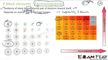 Chemistry P Block Elements part 5 Trends Electronegativity CBSE class 11 XI
