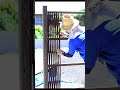 竹垣を作る。人工竹垣。日本庭園を作る。#外構工事 #鹿児島 #日本庭園
