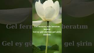 Fadıl Aydın - Ey Sevgili ...(Güzel İlahi)