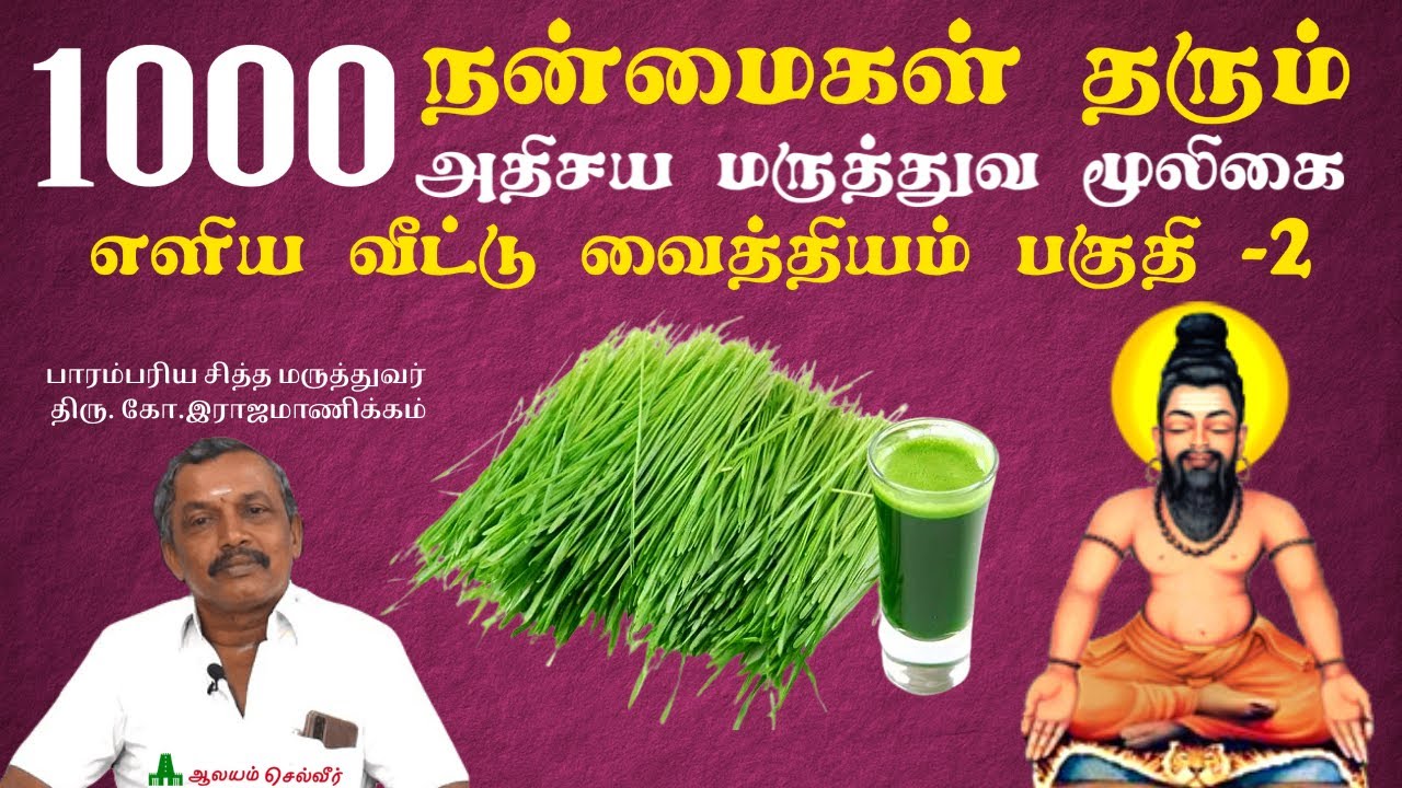 1000 நன்மைகள் தரும் அதிசய மருத்துவ மூலிகை|அருகம்புல் மருத்துவ பயன்கள்|எளிய வீட்டு வைத்தியம் பகுதி- 2