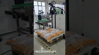 Automatic collaborative robot palletizer for carton