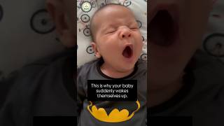 Why Your Baby Wakes Up Suddenly! 😳👶 #shorts