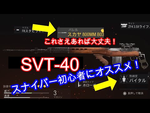 【CoD:Vanguard】 初心者スナイパーにオススメ！SVT-40！【CoD:V】