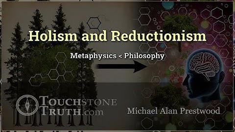 What are holism and reductionism?