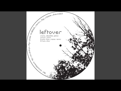 Leftover — Desolate Plains