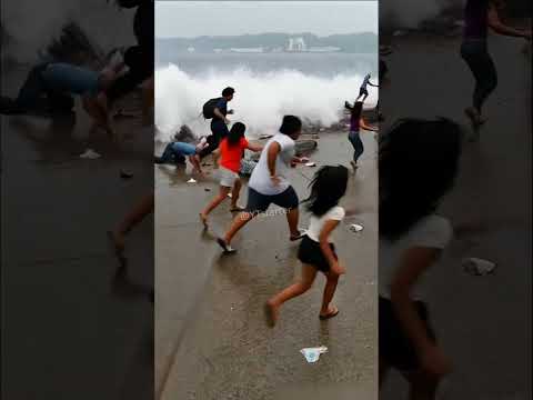 Kapal Hantam Pelabuhan, Tembok pun Runtuh #shorts