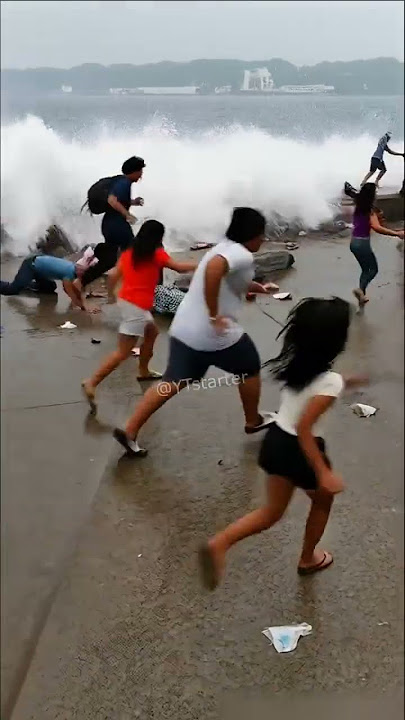 Pelabuhan Berubah Jadi Lautan Panik! #shorts