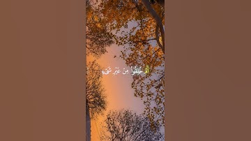 تلاوة للشيخ محمد اللحيدان رائعة •