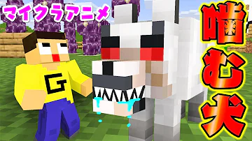 تحميل マイクラ 犬