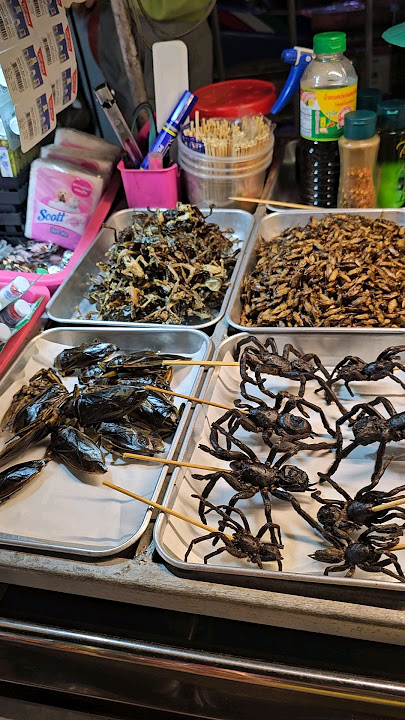Exotic Food in Khaosan Rd, Bangkok!!!!🫣😬😵#bangkok #thailand #exoticfood #streetfood #khaosanroad