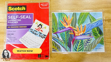 How To Use The Scotch Self Seal Laminating Pouches ( 2023)