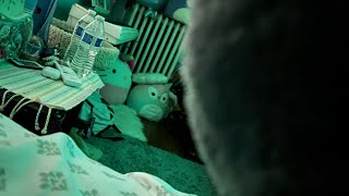 (⚠️TW in desc) Run Rabbit Run | OC Animation