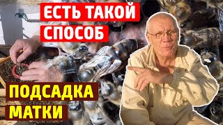 Подсадка матки Как матке пчел повезло