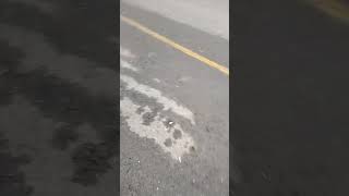 Işler Yok Değnekçilik Yapalım Bari Saati 10 Lira