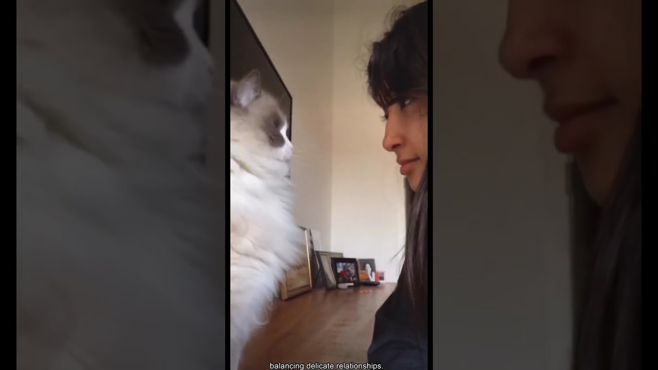 Don’t Mess With Animals 💥🐾 | When Animals Fight Back or Stand Their Ground