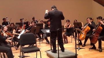 Carl Nielsen | Little Suite for Strings Op. 1 | III. Finale