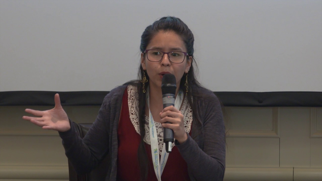 GFMD Civil Society Days 2017 - National strategies