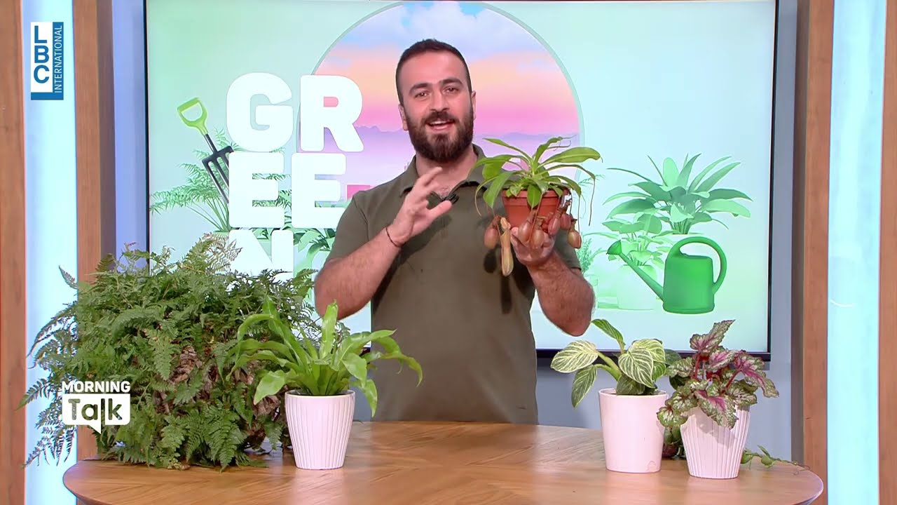 مجموعة من النباتات المميزة... إليكم بعض المعلومات المهمة عنها مع المهندس الزراعي إيلي زيادة