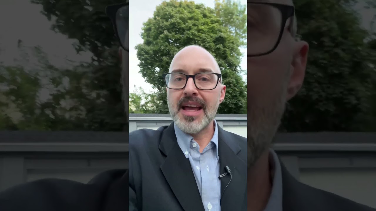 Placitus 3 in 1 Wellness Gummies