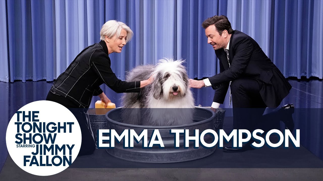 Emma Thompson talks hosting SNL, playing a late-night host, and then washes a dog with Jimmy Fallon