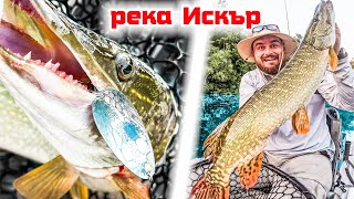 видео: Ловя в ЛЕГЕНДАРЕН ТАЙНСТВЕН КАНЬОН! РЕЧНИ ЗВЕРОВЕ и БЕЗМИЛОСТНИ АТАКИ! Риболов на щука на река Искър картинка: Ловя в ЛЕГЕНДАРЕН ТАЙНСТВЕН КАНЬОН! РЕЧНИ ЗВЕРОВЕ и БЕЗМИЛОСТНИ АТАКИ! Риболов на щука на река Искър