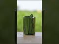 Sorghum Paper #shorts #devkeexperiment