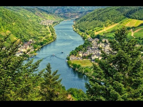 Vídeo: Qual é O Sonho Do Rio E Da Floresta