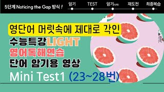 수능특강 Light 영어독해연습 Mini Test1 (23~28번) / 단어 암기 테스트 한방에