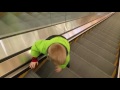 LEARNING TO USE THE ESCALATOR PART 1!