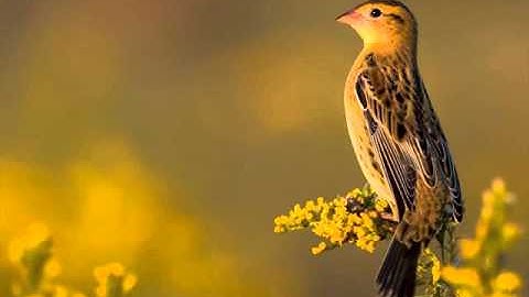 Windows 8 Configuring Lesson 11 Configure Network Settings