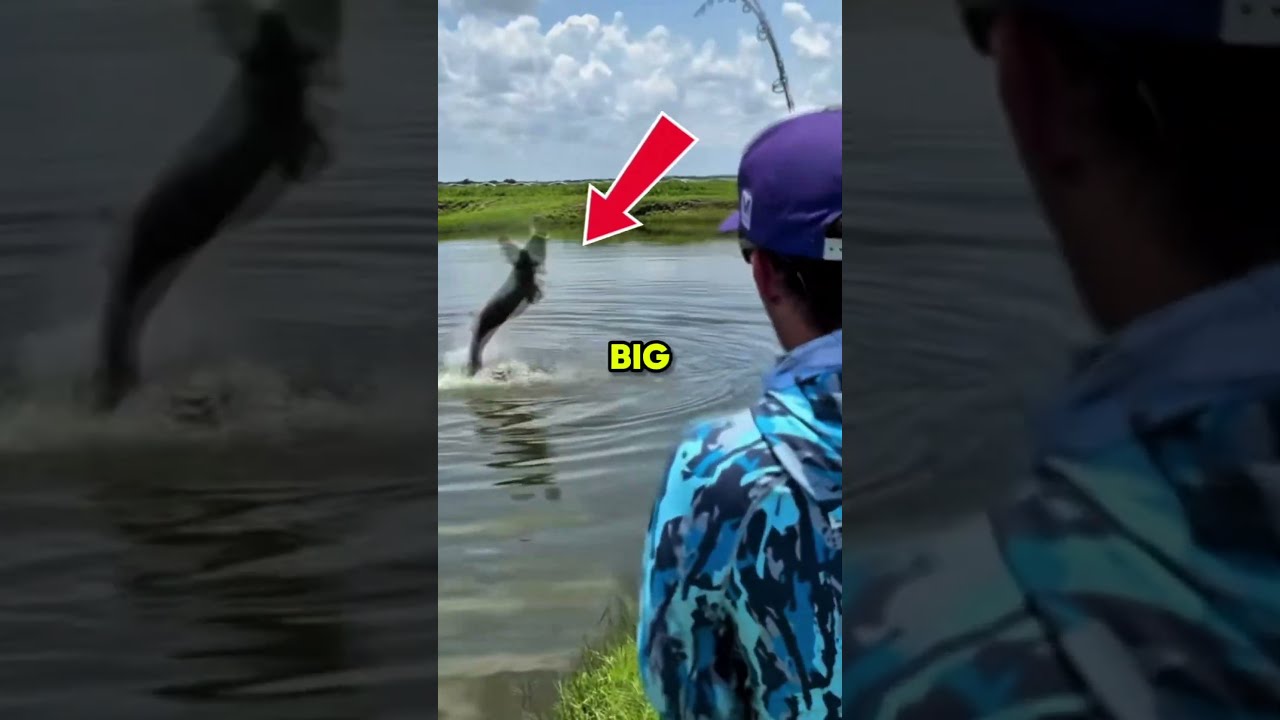 This guy caught a super big fish! # fyp #reels #shorts 
