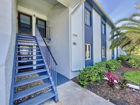 222 Cypress Ln, Oldsmar, FL home video tour