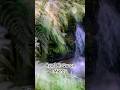 Quran Surah Merdu#muhammadthaha #almulk#shorts