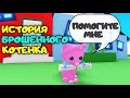 Грустная История Брошенного Котенка! Мини фильм! The Stray Cat Story Adopt Me Roblox