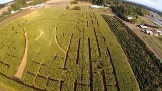 Corn Maze Pumpkin Patch   Baggenstos Farm FPV
