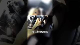 Не могу решать тесты на права в Италии