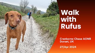 Walk with Rufus - Cranborne Chase (Take 1)