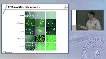 Silk as a biopolymer for wound dressings and tissue engineering. Silk biopolymers(5/5)