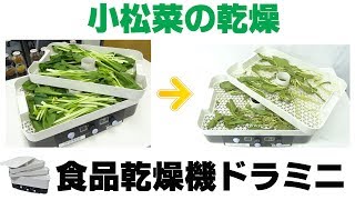 ［干し野菜作り］家庭用フードドライヤーで小松菜の乾燥（ドラミニ）