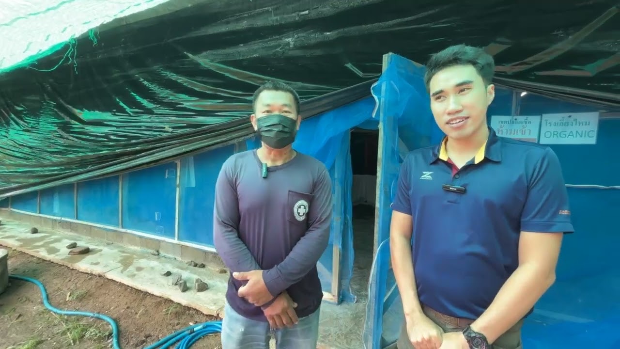 วิธีการอบโรงเลี้ยงด้วยฟอร์มาลีน