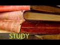 Study Music, Focus Music, Meditation, Concentration Music, Work Music, Relaxing Music, Study, ☯338