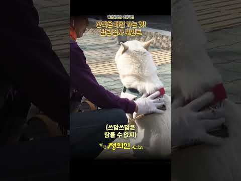 [미공개 클립] 여영국 위원장(<strong>aka</strong>. 누리아빠) &amp;quot;산책은 매일!&amp;quot;  참된 집사 모먼트🐕ㅣ#월간정의인230314 정의인 人:IN