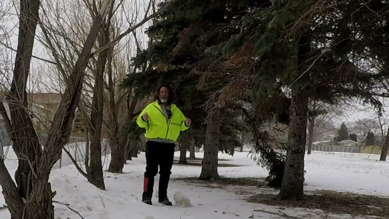 Warde Avenue Buffers (Paddington and Forsyth) - St. Vital