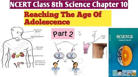 NCERT Class 8th Science| Chapter 10| Reaching The Age Of Adolescence| Part 2| Chapter explanation