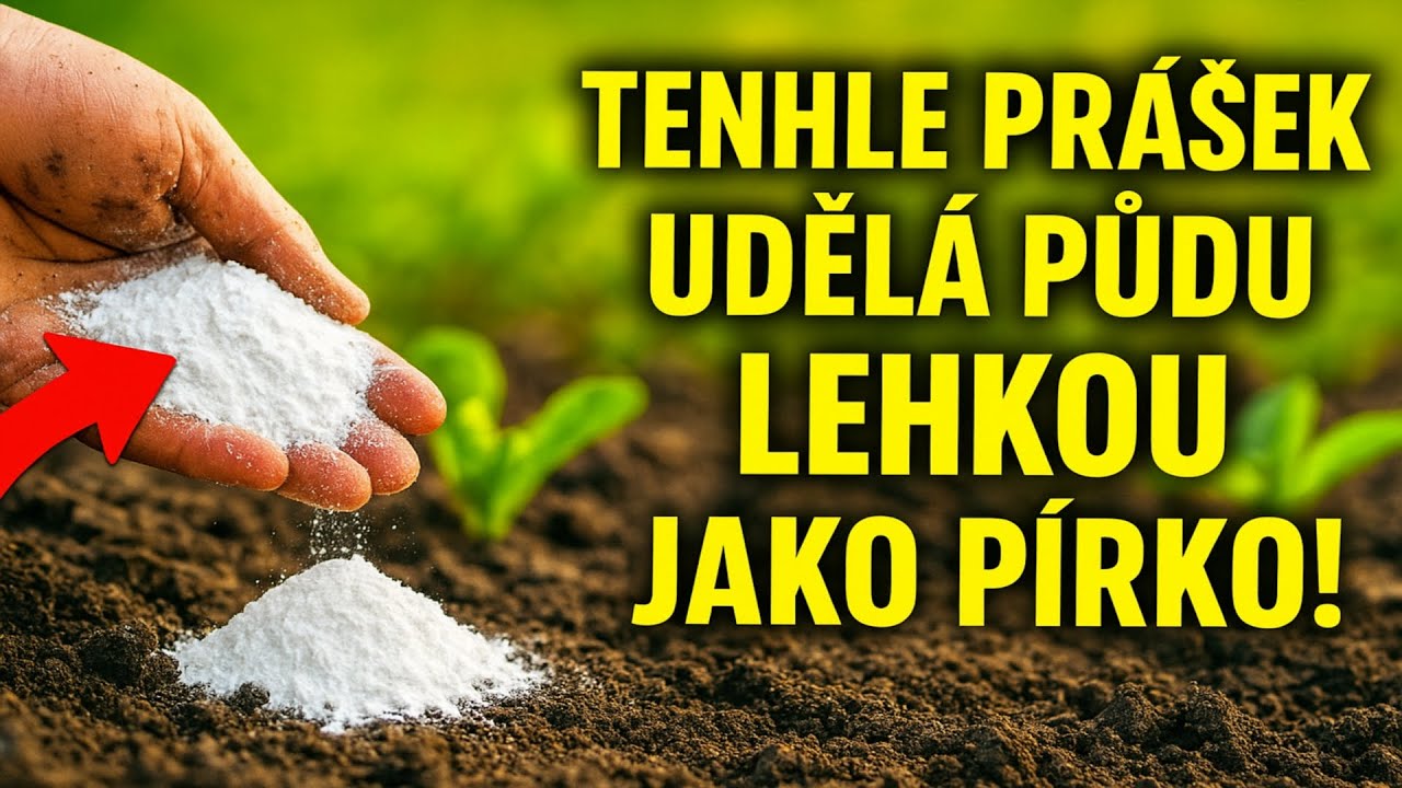 TAJEMSTVÍ ZAHRADNÍKŮ: Tenhle prášek udělá půdu lehkou jako pírko! Na rýč už můžete zapomenout NAVŽD