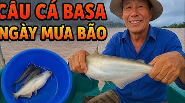 CÂU CÁ BASA NGÀY MƯA BÃO | CÓ CÁ LÀ CÓ AN ỦI RỒI | TẬP 3