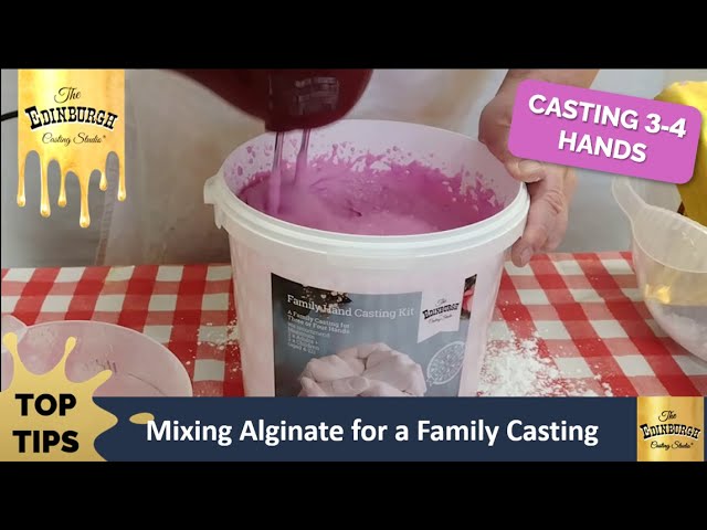 27 Alginate powder ideas  it cast, mold making, paris crafts