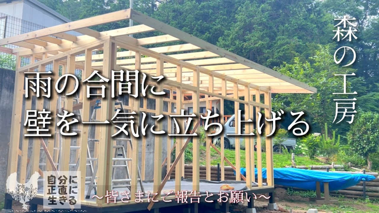 【森の工房】5話 一気に建物が出現！初めての2×4小屋/皆さまにご報告とお願い